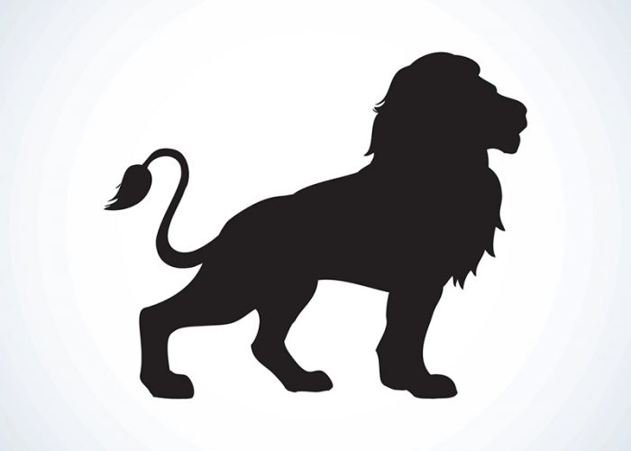 lion