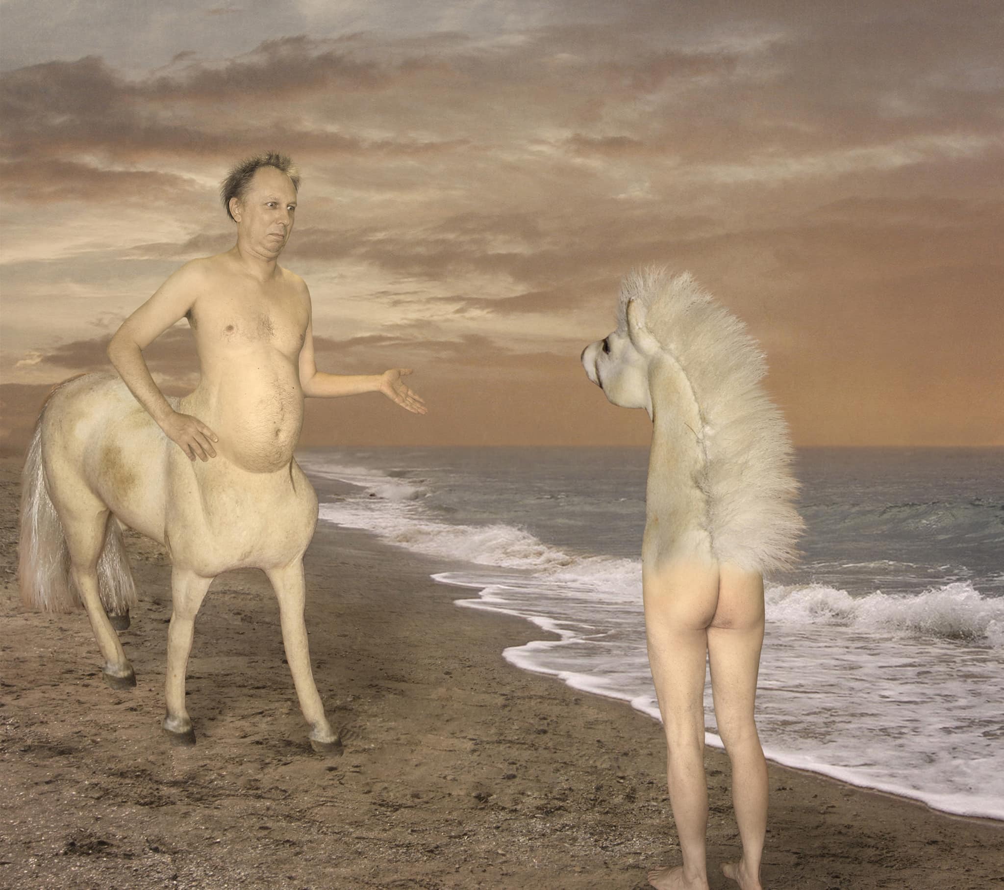 Unexpected meeting on the coast. Centaur